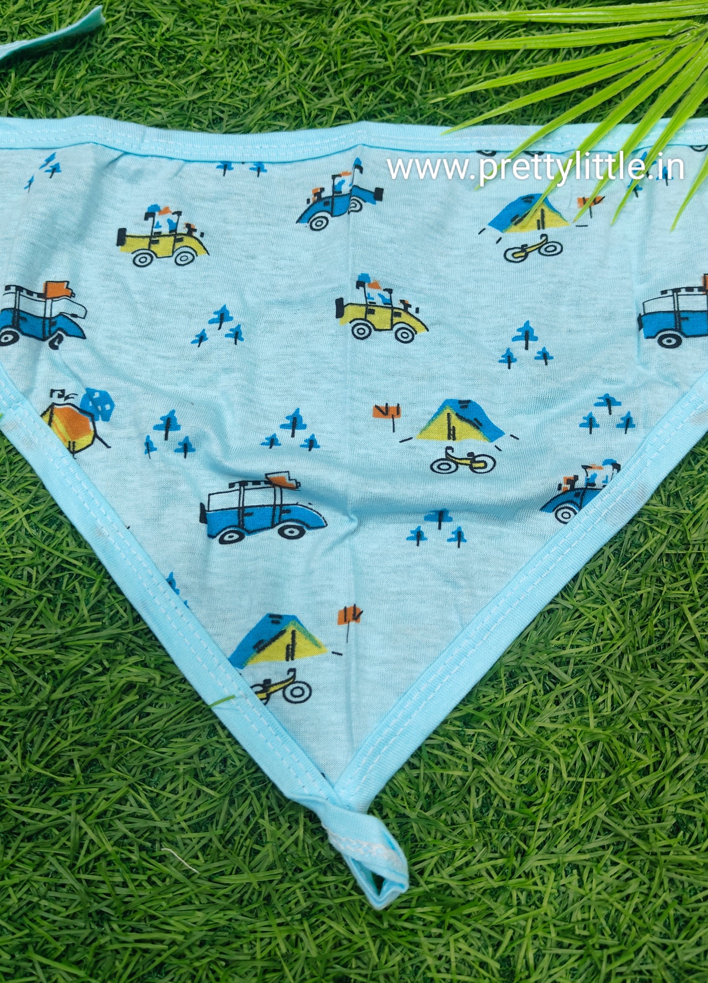 Pack of 10 V-Shape Langot Nappy – Soft & Comfortable for Babies