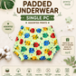 Reusable Dry Feel Padded Underwear | Baby Potty Training Pants (assorted prints)