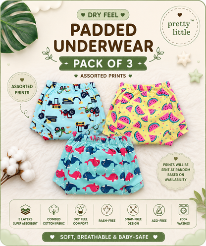 Reusable Dry Feel Padded Underwear | Baby Potty Training Pants (assorted prints)
