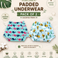 Reusable Dry Feel Padded Underwear | Baby Potty Training Pants (assorted prints)