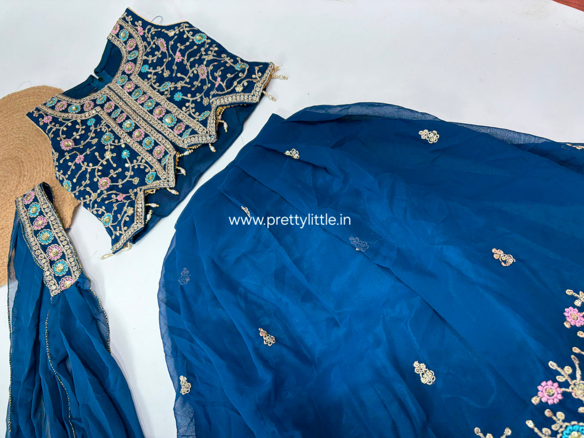 Meher Royal Floral Embroidered Lehenga Set – 1 to 2 Year  2-3 year