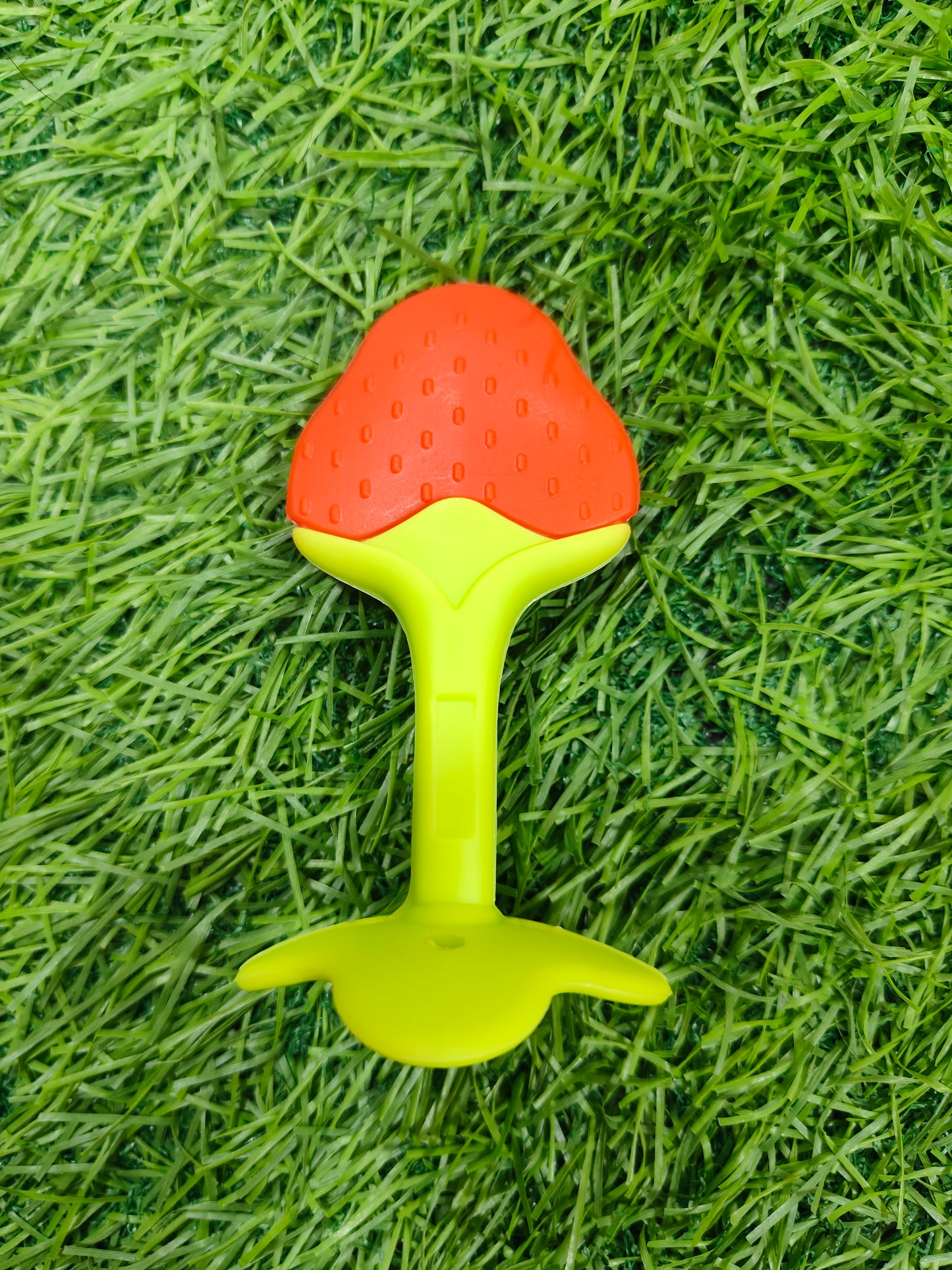 Fruit Teether