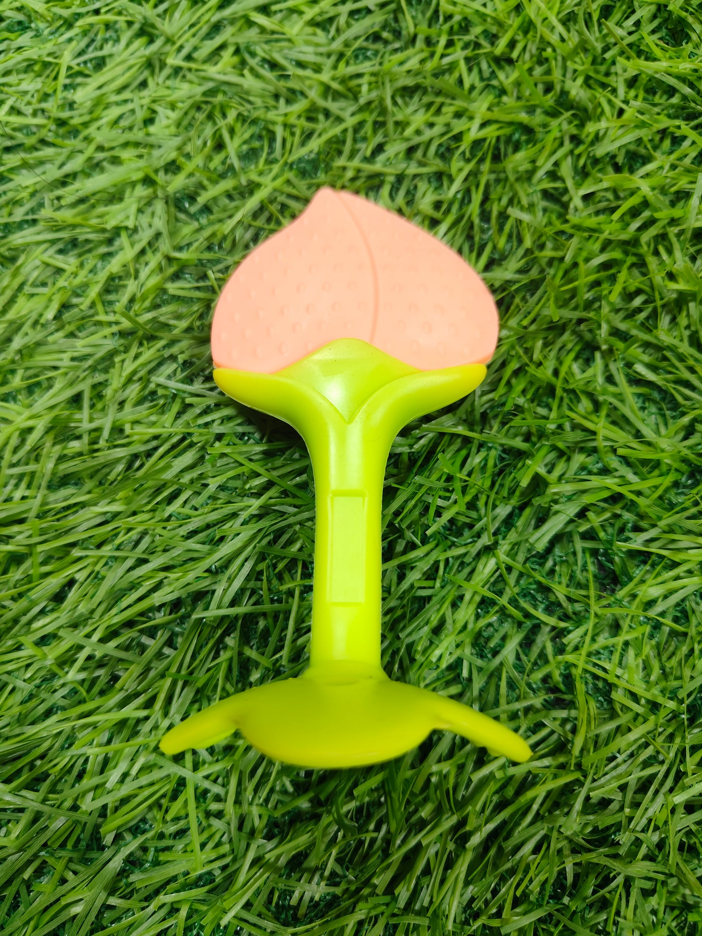 Fruit Teether