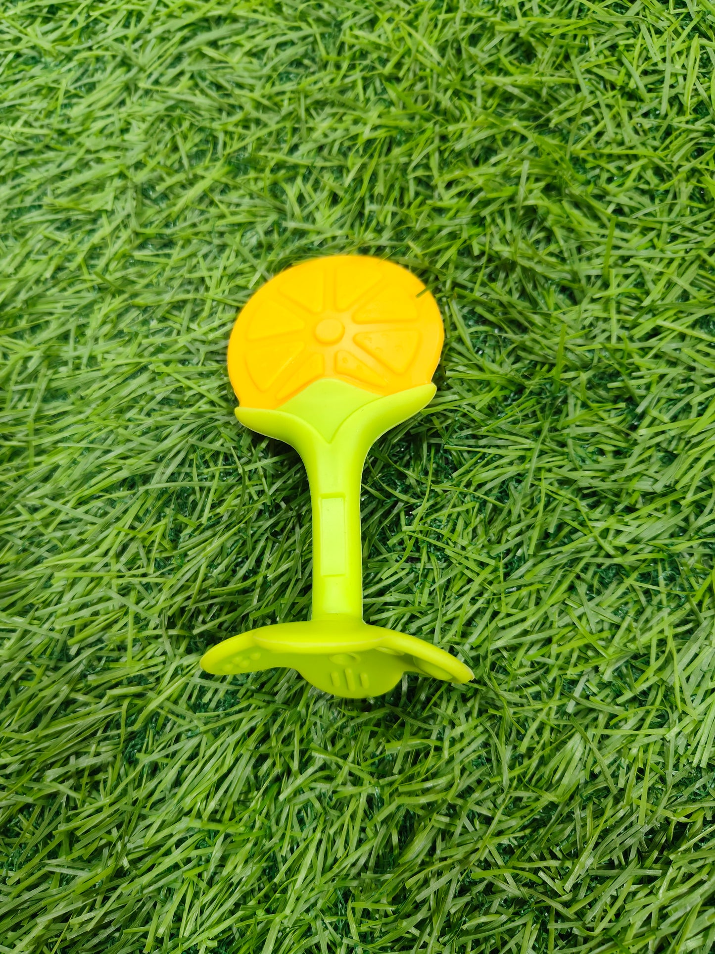 Fruit Teether