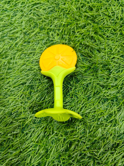 Fruit Teether