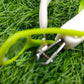 Nailcutter with magnifying glass