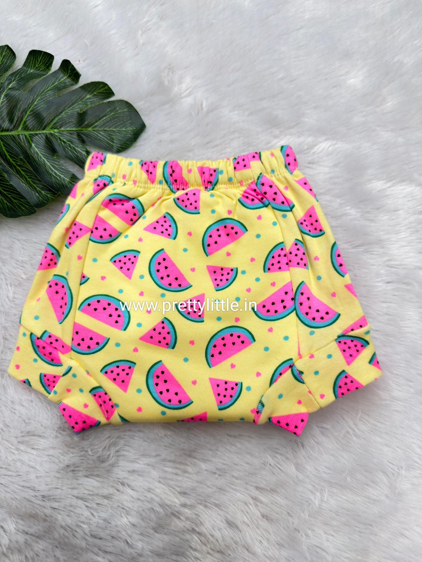 Reusable Dry Feel Padded Underwear | Baby Potty Training Pants (assorted prints)