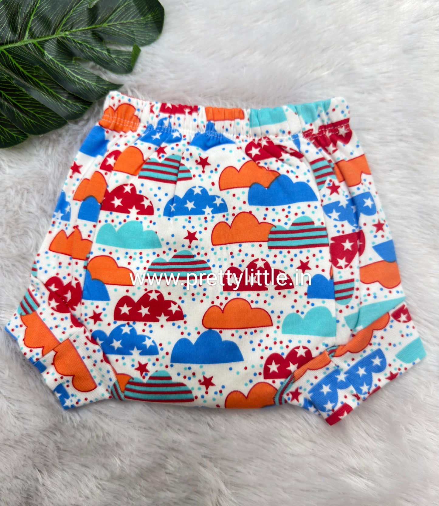Reusable Dry Feel Padded Underwear | Baby Potty Training Pants (assorted prints)