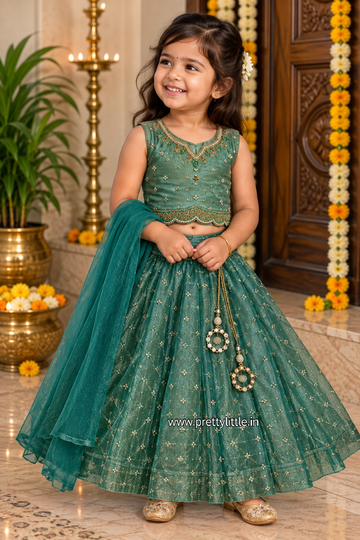 Mahira Royal Princess Lehenga Set | Festive & Party Wear
